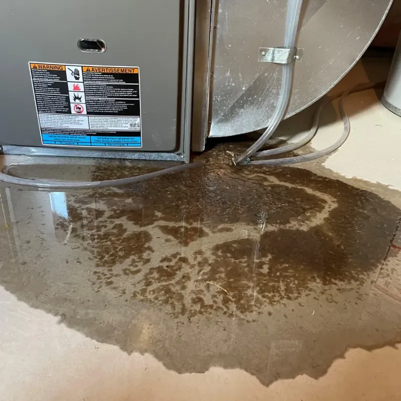 Appliance Leak Cleanup in Rogersville, AL